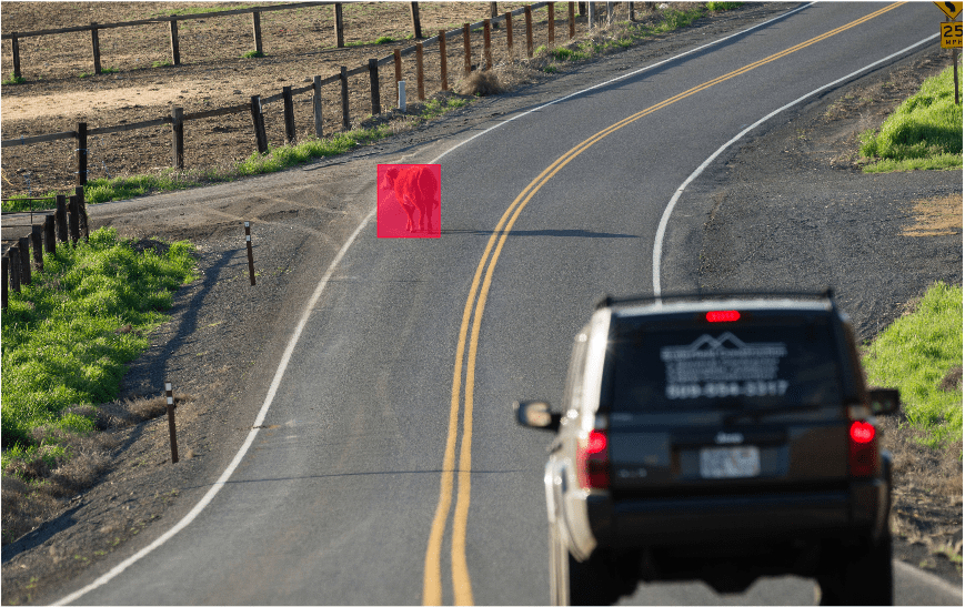 image of an animal on a highway annotated as an obstacle