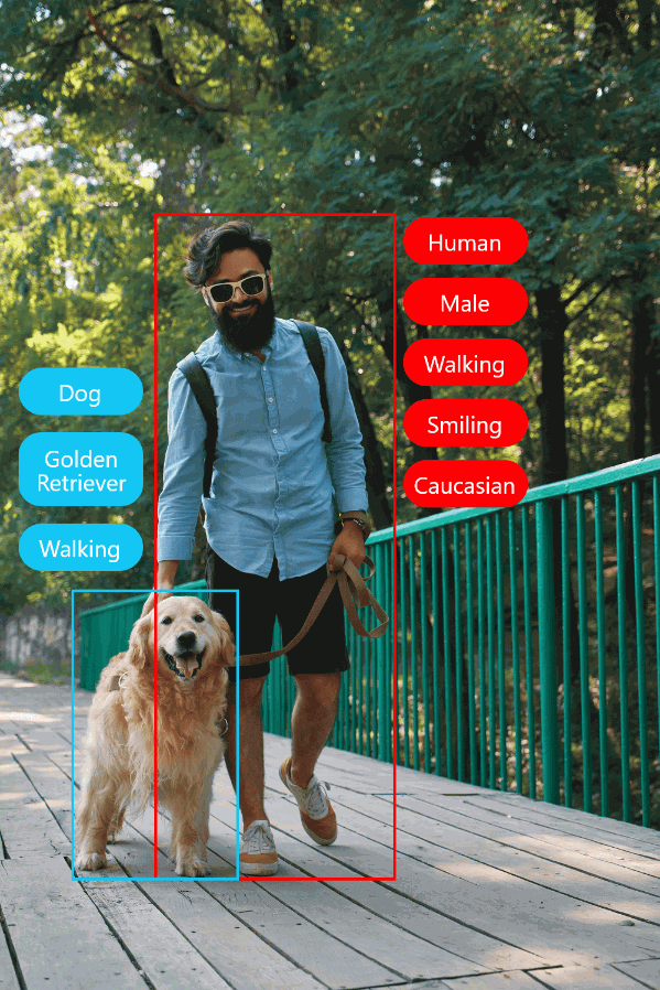 image of a man and a dog walking with annotations