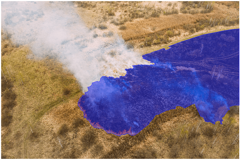 image of a forest fire with the affected area annotated